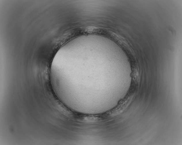 X0000115180470200911121805
