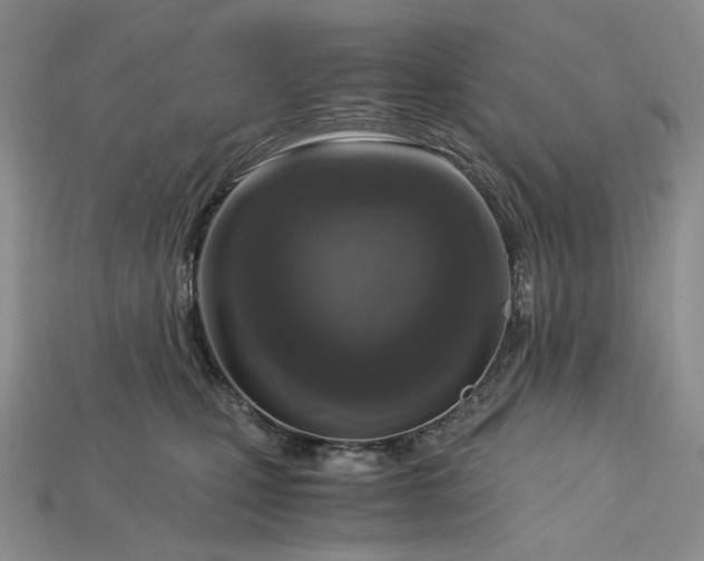 X0000115180471200911121805