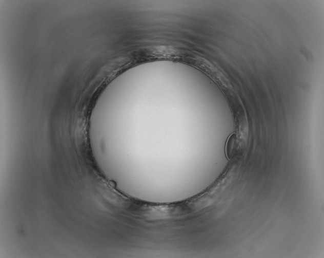 X0000115180473200911121805