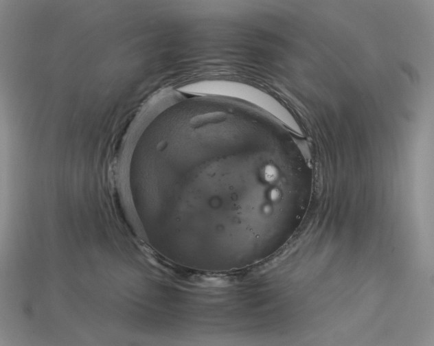 X0000115180475200911121805