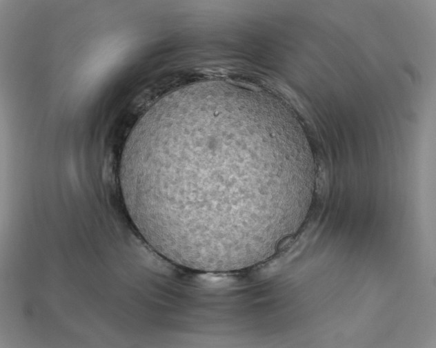 X0000115180477200911121805