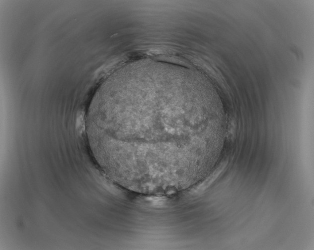 X0000115180478200911121805