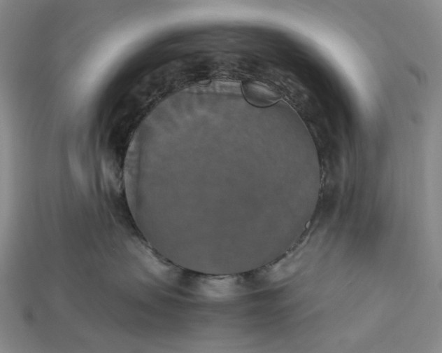 X0000115180479200911121805