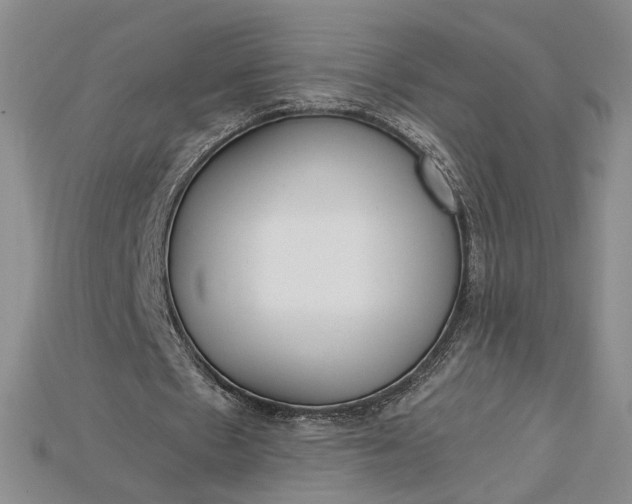 X0000115180481200911121804