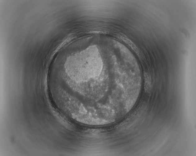 X0000115180482200911121804