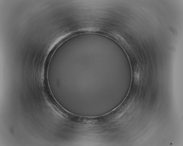 X0000115180484200911121804