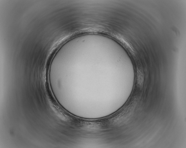 X0000115180486200911121804