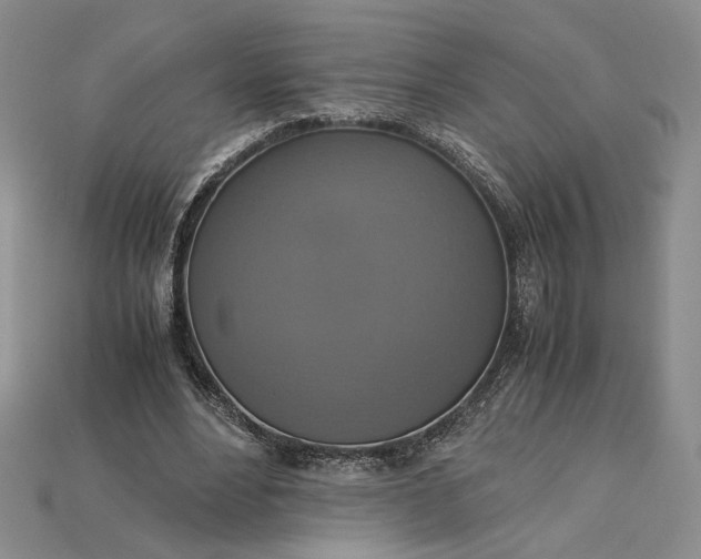 X0000115180488200911121804