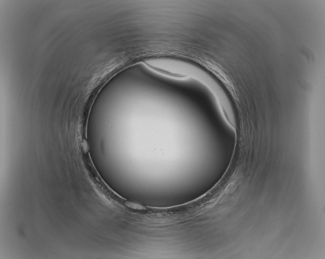 X0000115180489200911121804