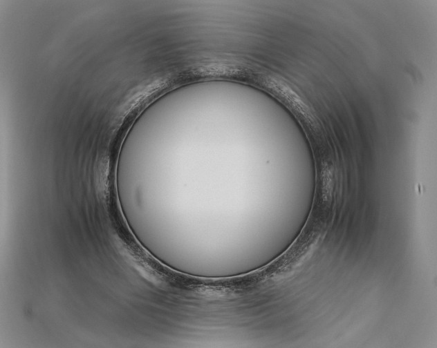 X0000115180490200911121804