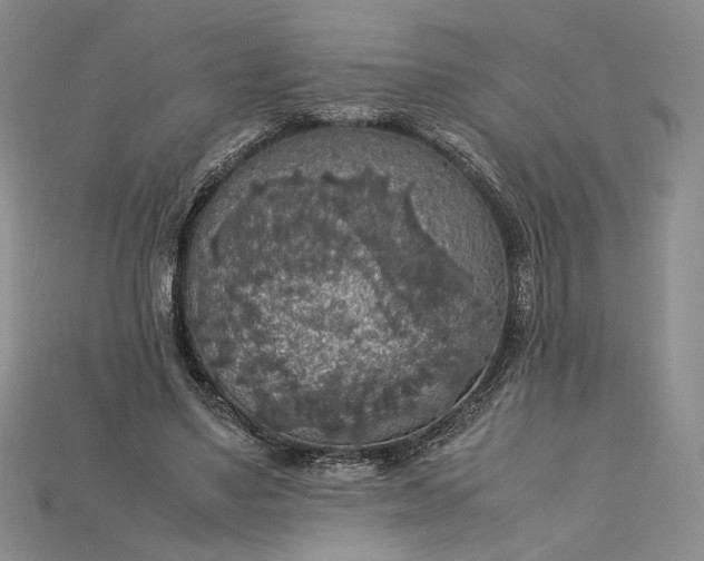 X0000115180491200911121804
