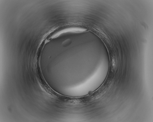 X0000115180492200911121804