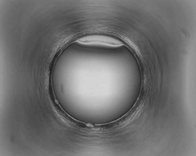 X0000115180493200911121804