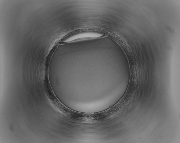 X0000115180496200911121804