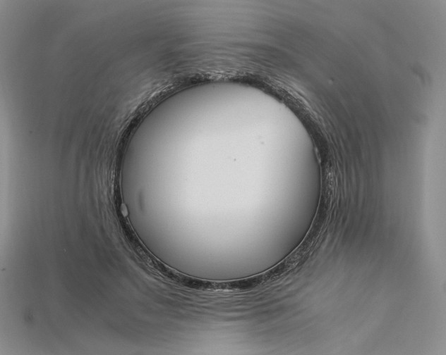 X0000115180499200911121804