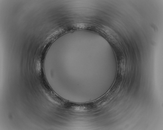 X0000115180500200911121804