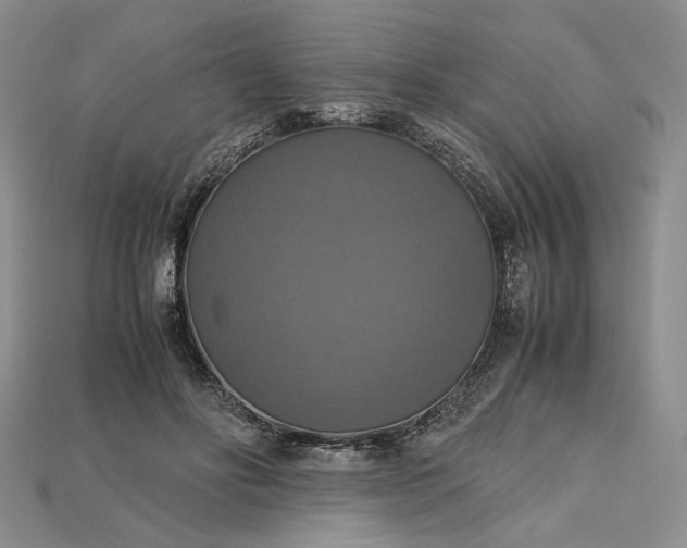 X0000115180502200911121804