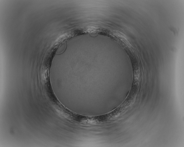 X0000115180503200911121803