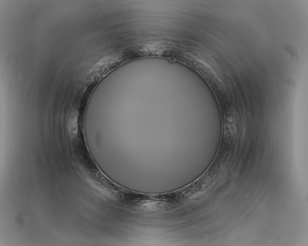 X0000115180504200911121803