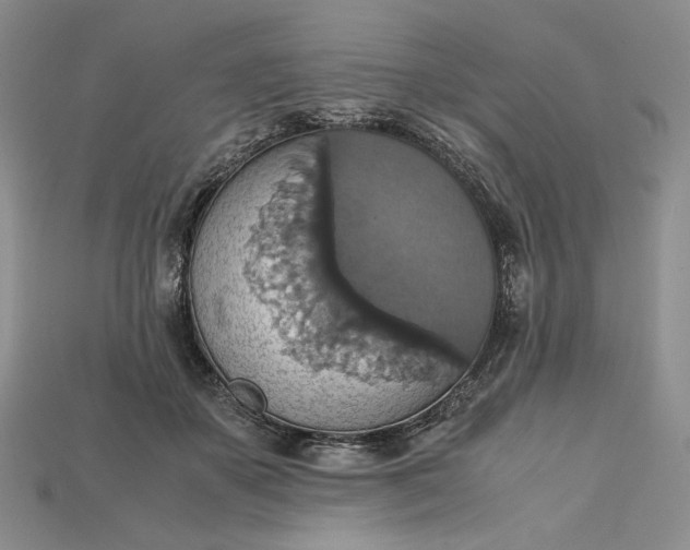X0000115180507200911121803