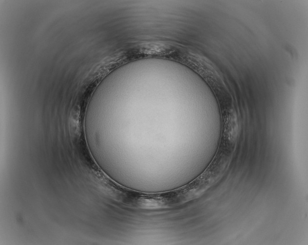 X0000115180510200911121803