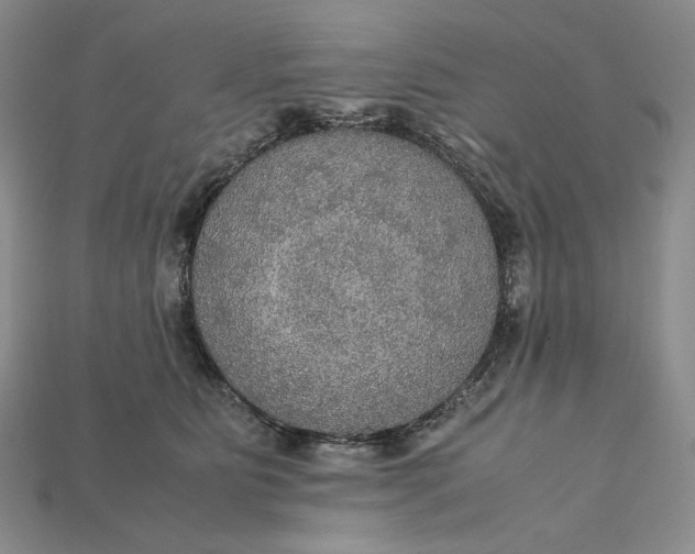 X0000115180515200911121803