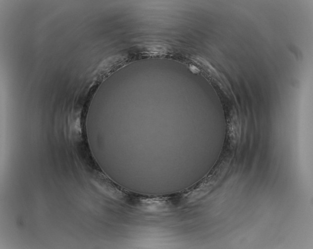 X0000115180516200911121803