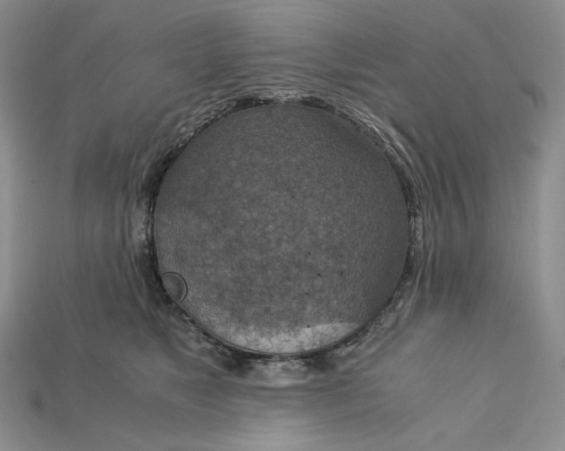 X0000115180517200911121803