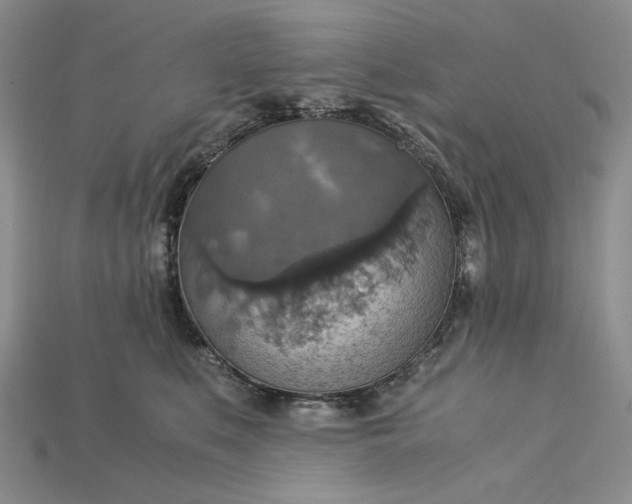 X0000115180519200911121803