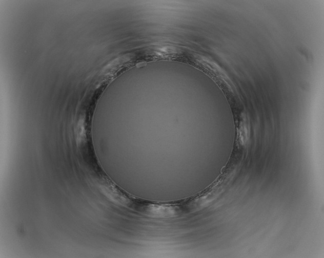 X0000115180520200911121803