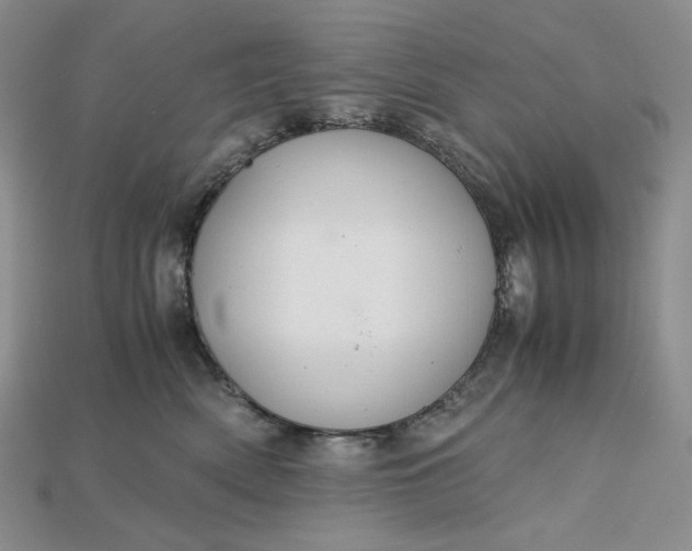 X0000115180522200911121803