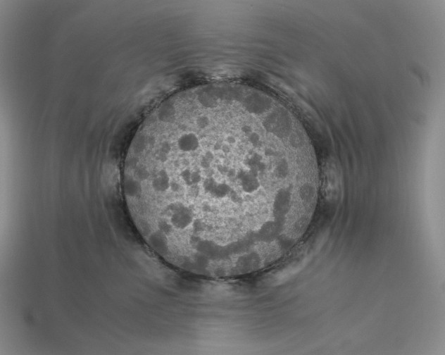 X0000115180523200911121803