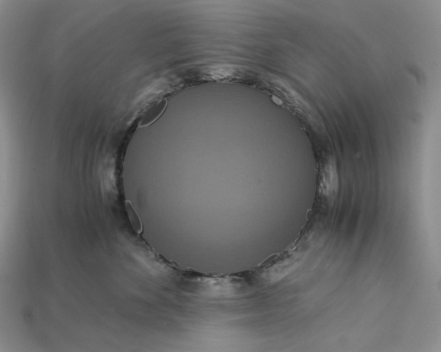 X0000115180524200911121803