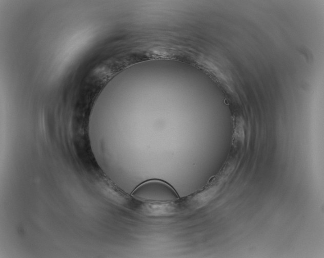 X0000115180526200911121803