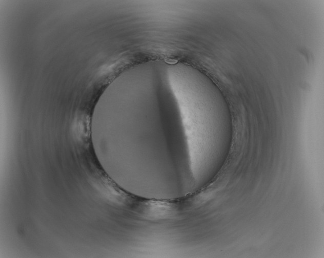 X0000115180528200911121803