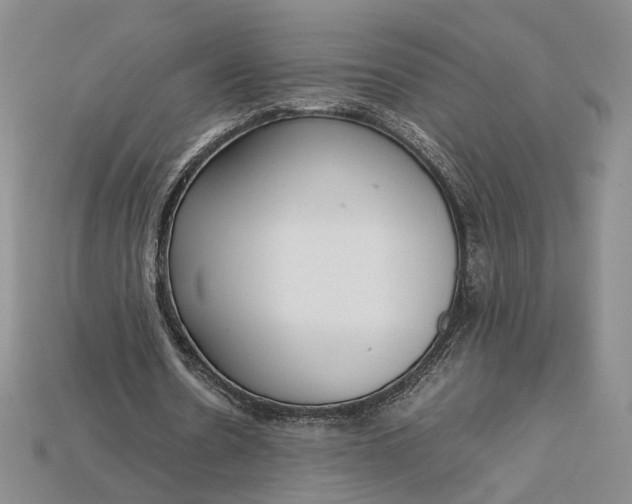 X0000115180530200911121802