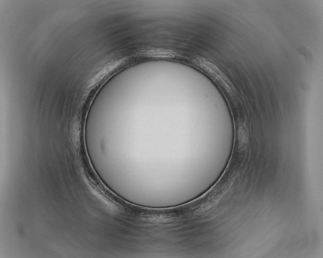 X0000115180533200911121803