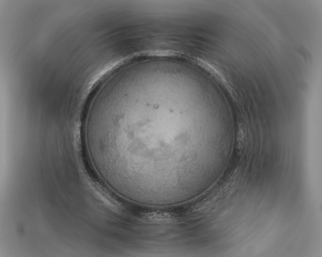 X0000115180535200911121803