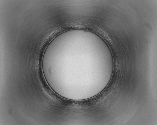 X0000115180538200911121803