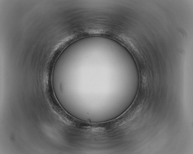 X0000115180539200911121803