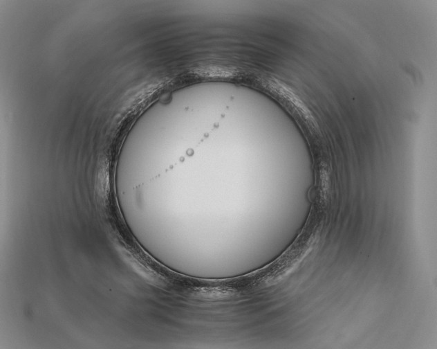 X0000115180541200911121803