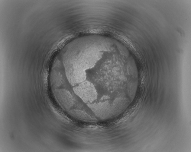 X0000115180542200911121803