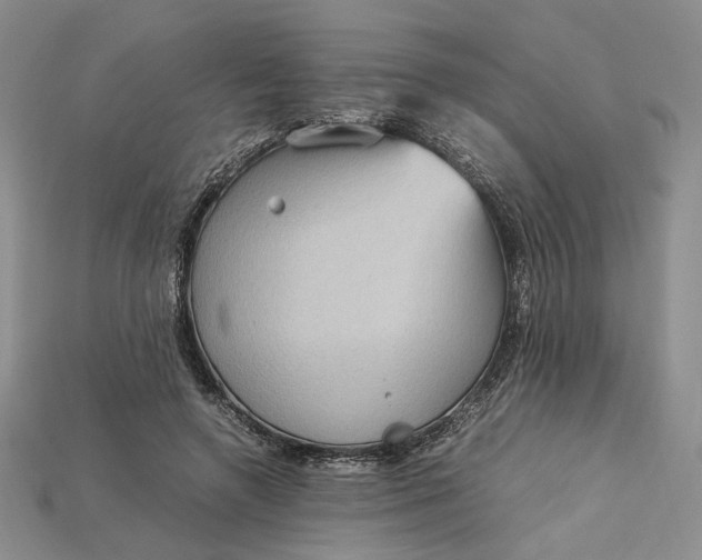X0000115180546200911121803