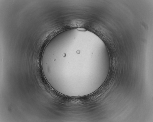 X0000115180547200911121803