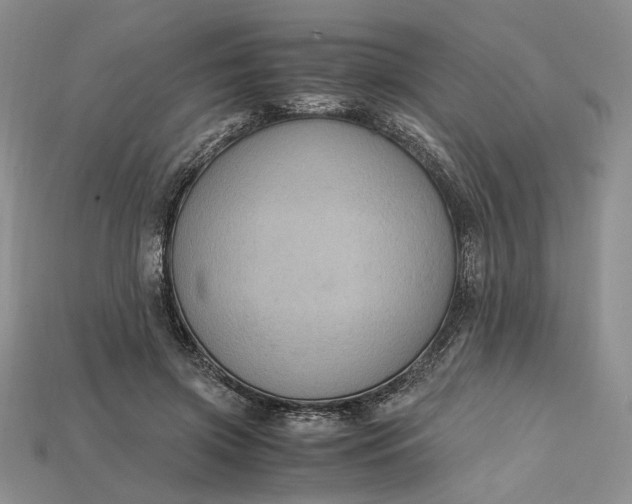 X0000115180549200911121803
