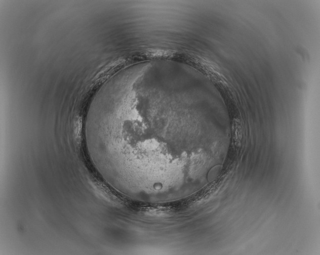 X0000115180550200911121803