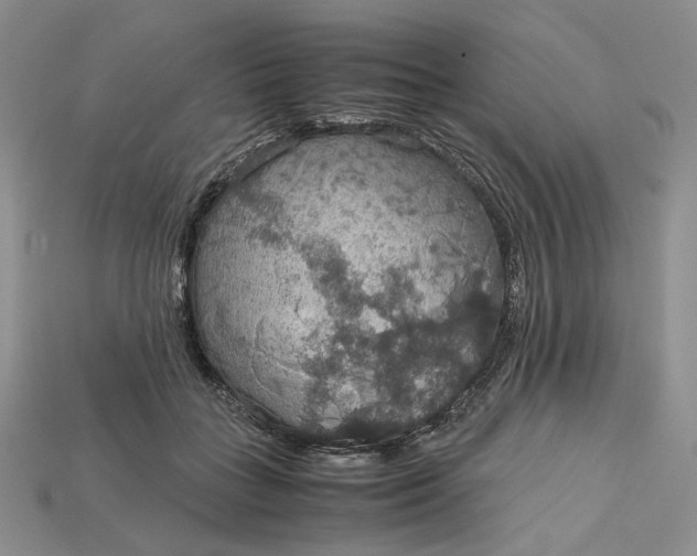 X0000115180555200911121803