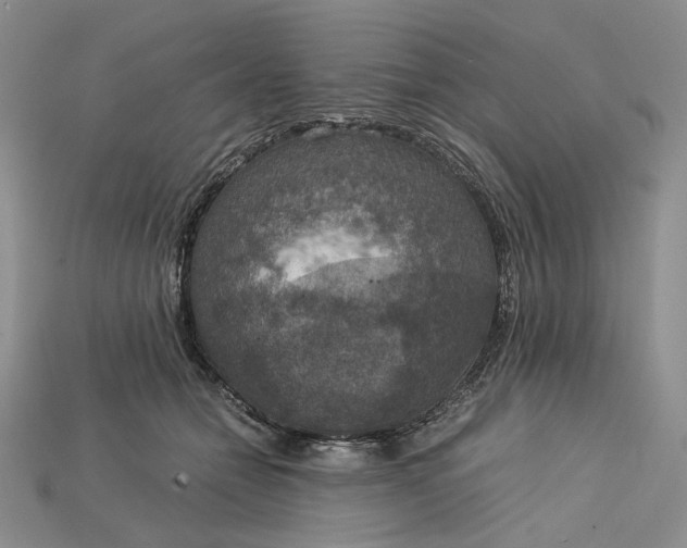 X0000115180558200911121803