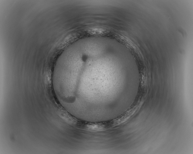 X0000115180561200911121803