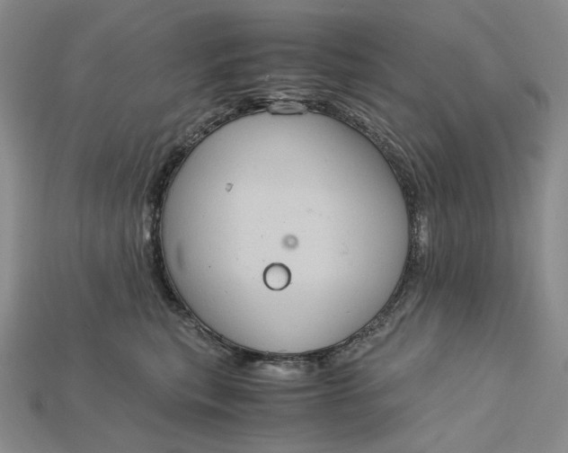 X0000115180567200911121803